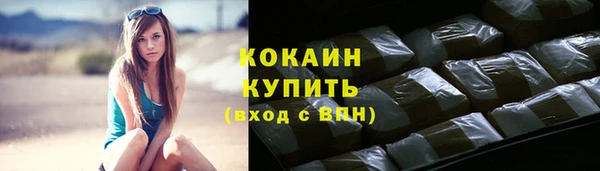 шишки Медногорск