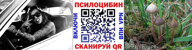 OMG ссылка  Байкальск  Галлюциногенные грибы GOLDEN TEACHER 