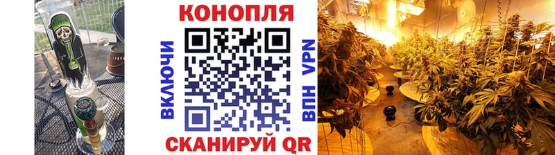 Конопля OG Kush Байкальск
