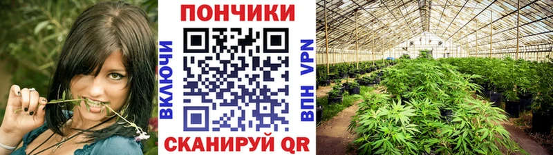 купить  сайты  mega вход  Конопля план  Байкальск 